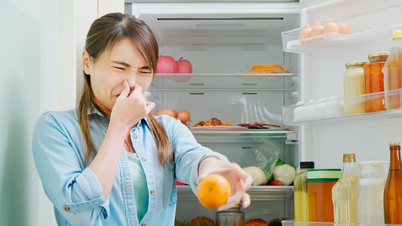 Eliminates Pantry Odors