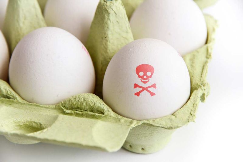 Undercooked Eggs: Salmonella Central