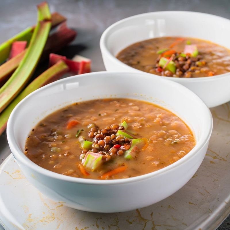 Savory Rhubarb Lentil Stew