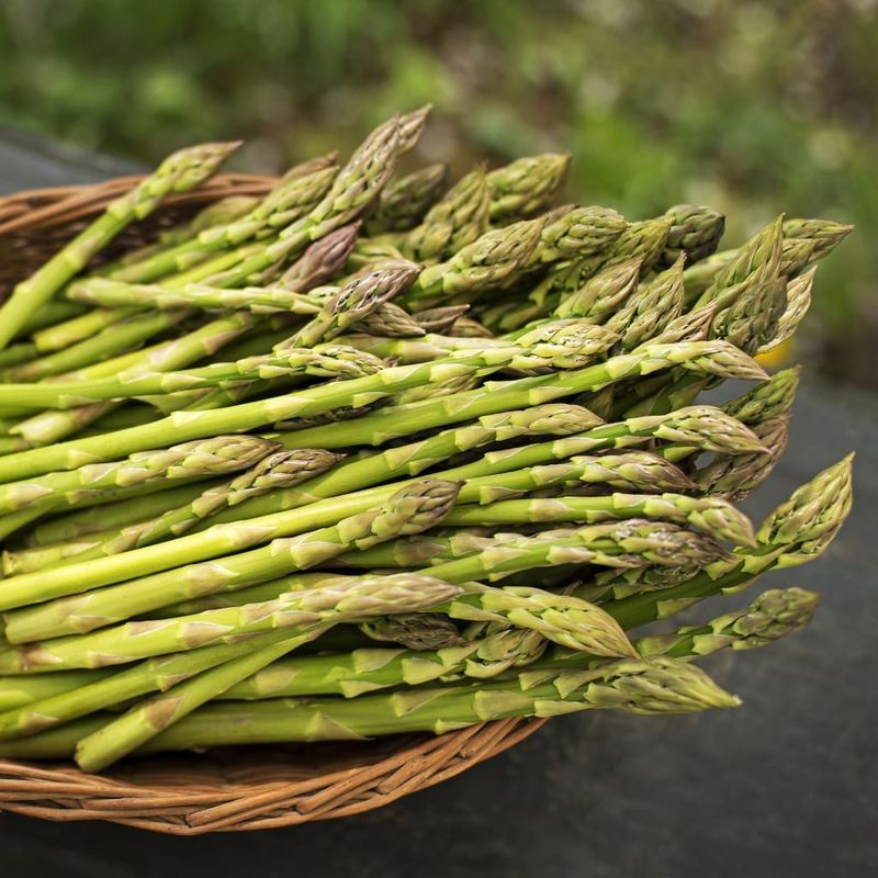 Supports Healthy Digestion