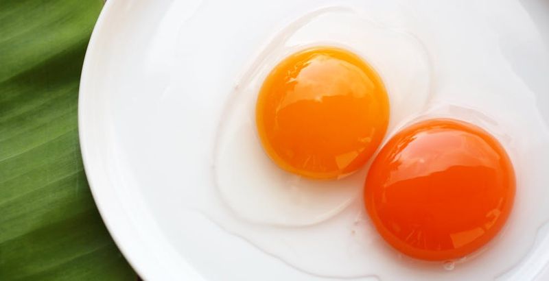 Farm-Fresh Eggs