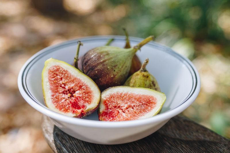 Fig Newtons