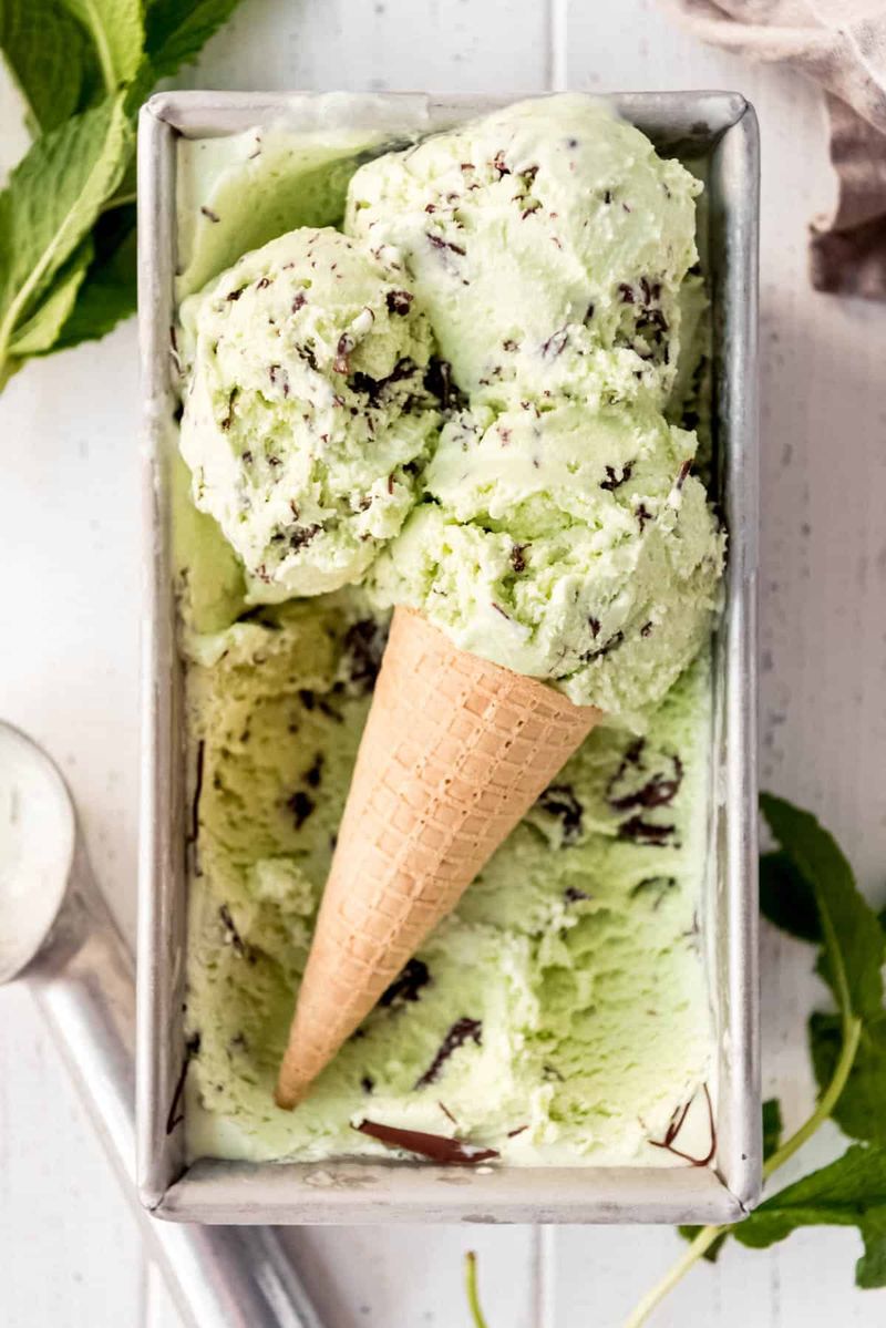 Mint Chocolate Chip Ice Cream