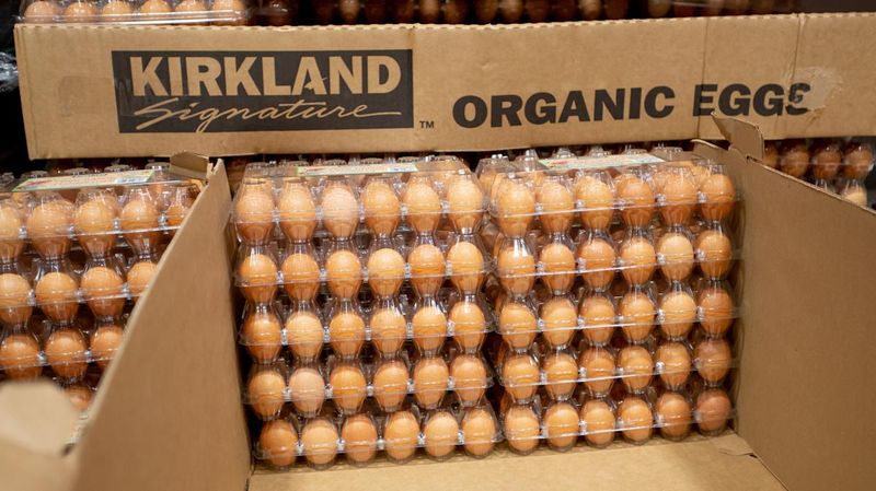 Kirkland Signature Organic Eggs