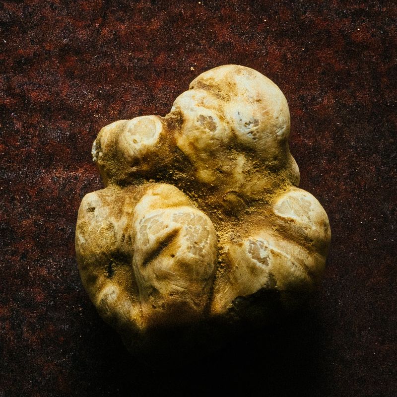 Seasonal White Truffles