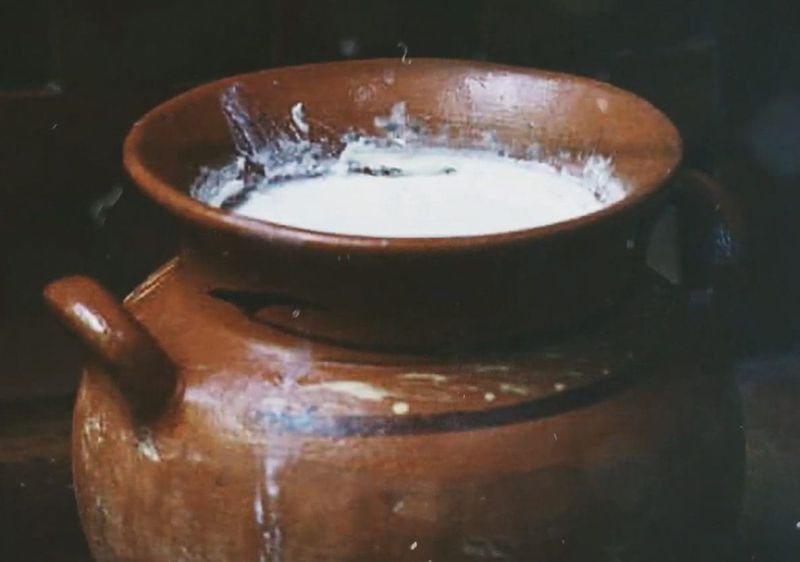 Milk: Land Of Plenty