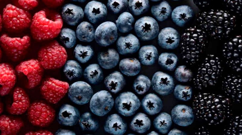 Berries' Fiber and Flavonoid Factor