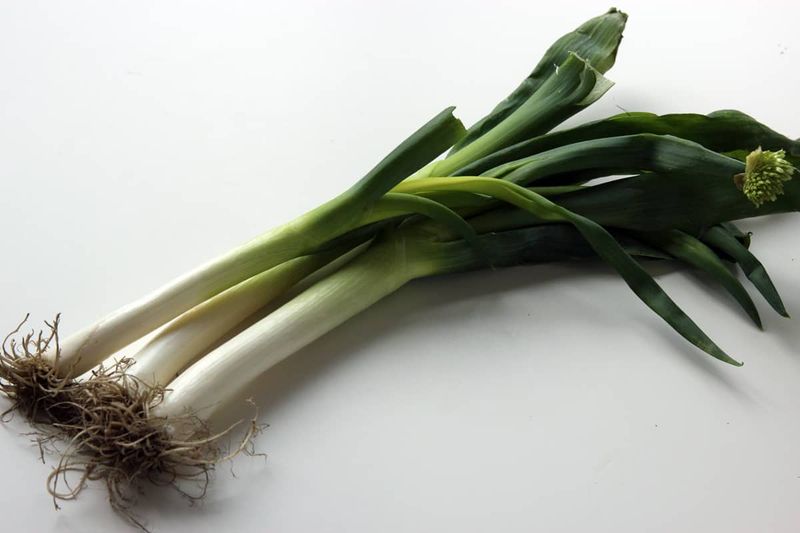 Green Onions (Scallion)