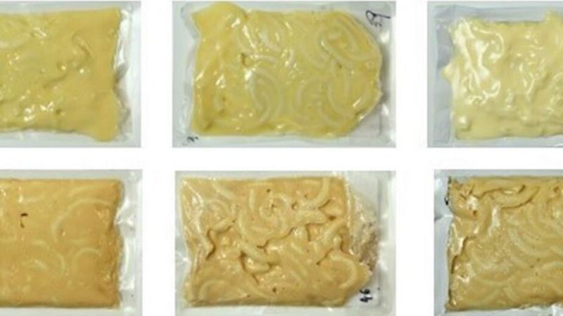 Thermostabilized Macaroni And Cheese