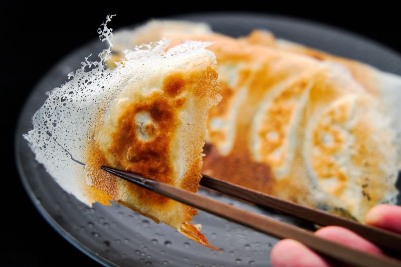 Steaming Hot Gyoza Dumplings