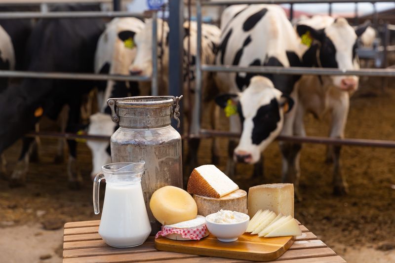 Dairy's Double-Edged Sword