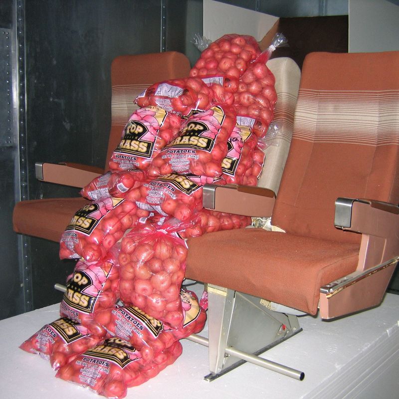 Potatoes Absorb WiFi Signals