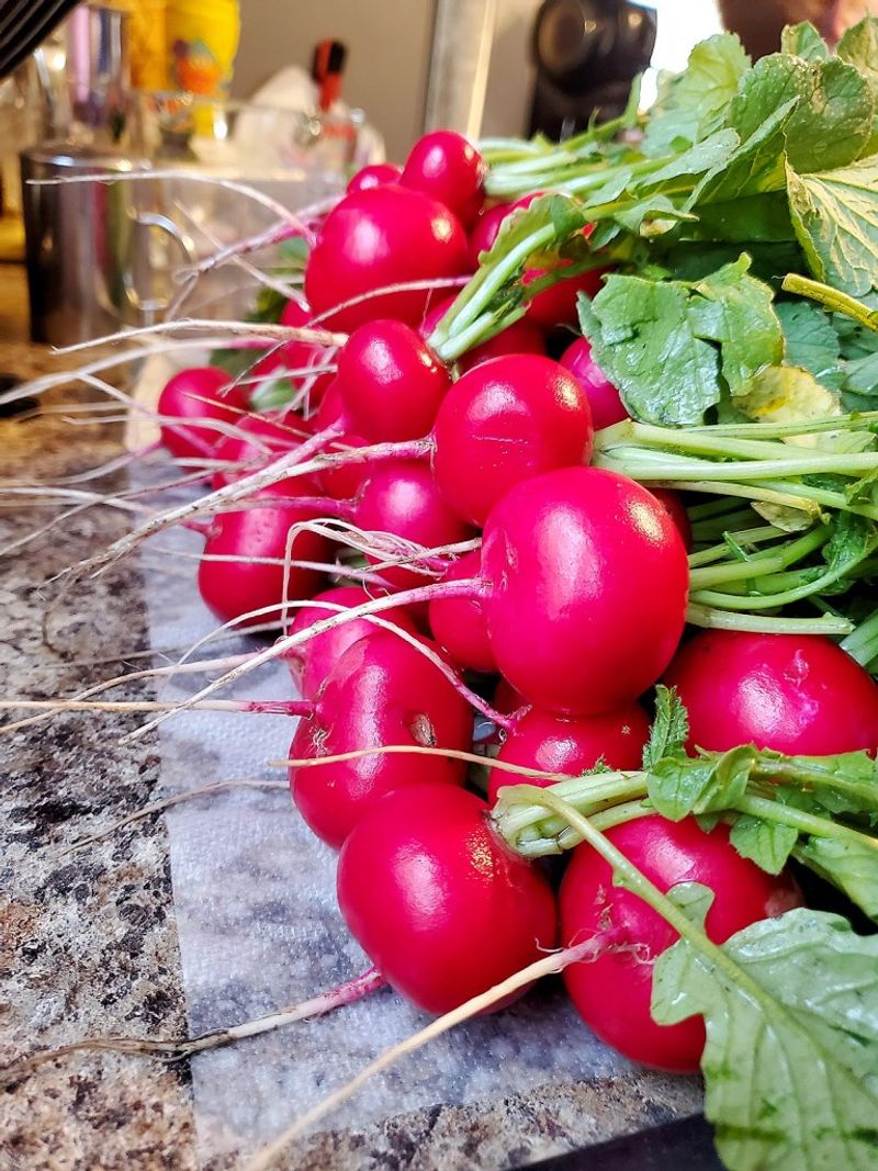 Radishes