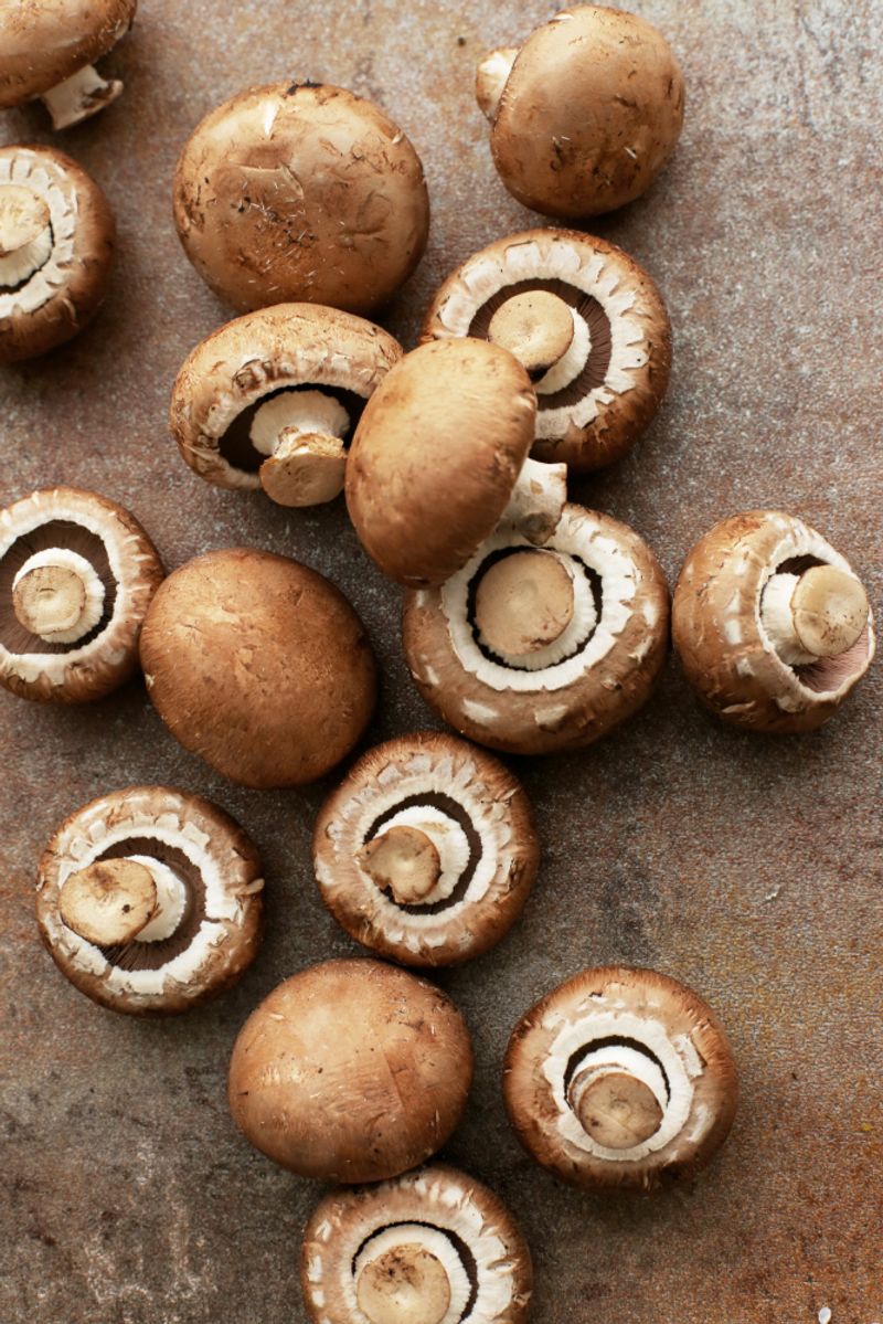 Mushrooms Break Down