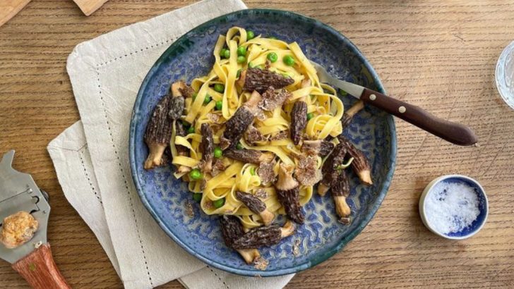 Spring Pasta Season: 16 Fresh Twists To Try Now (And 3 To Bookmark For Winter)