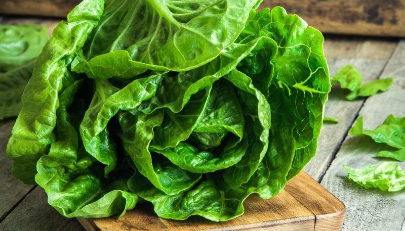 Lettuce