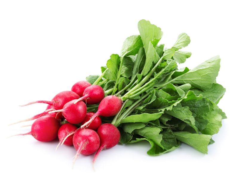 Improves Respiratory Health