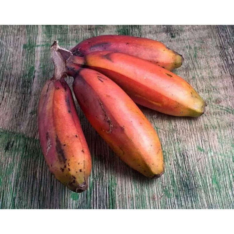 Red Dacca Banana