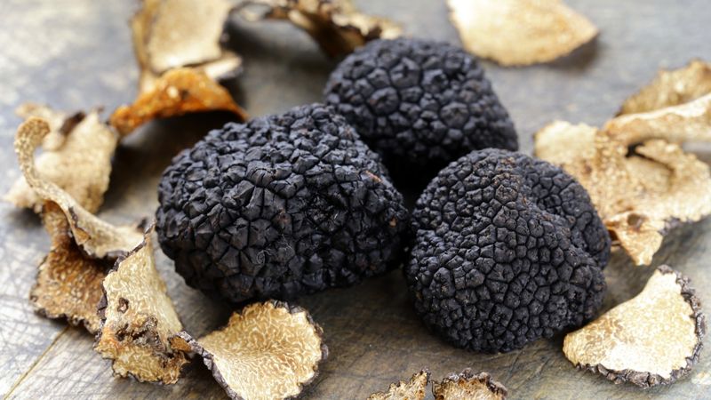 Truffle Allergies Are More Common Than You Think