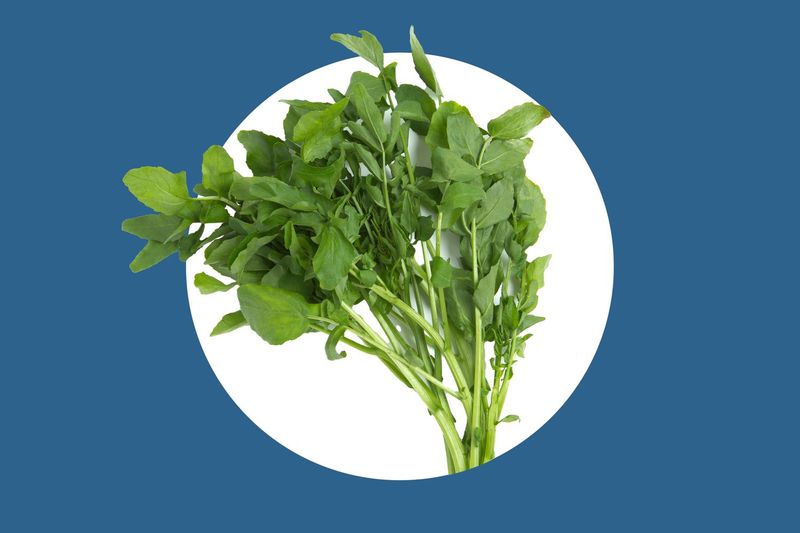 Watercress