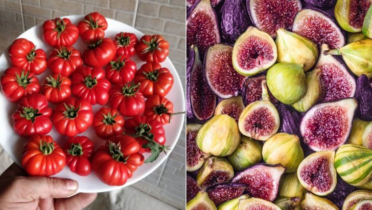 These Are The 55 Healthiest Foods To Power Up Your Plate
