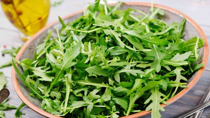 Top 12 Health Benefits Of Including Arugula In Your Daily Meals