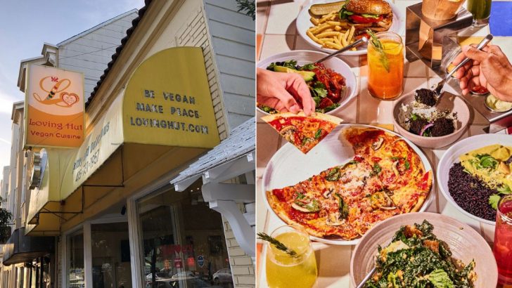 Top Vegetarian Restaurants To Try In San Francisco