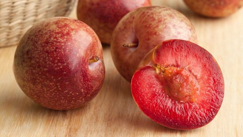 Unique Pluots
