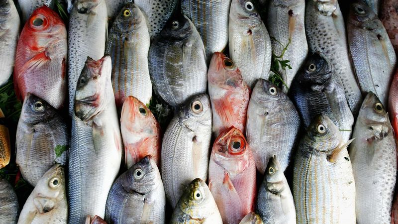 Fish (Especially White Tuna And Snapper)