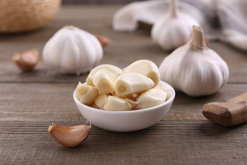 Garlic