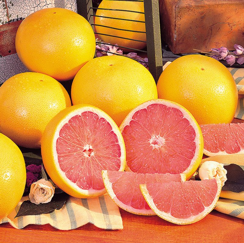 Grapefruit