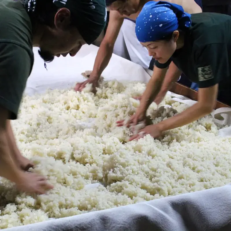 Koji Culinary Revolution