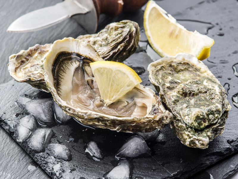 Oysters: Vibrio Vessels