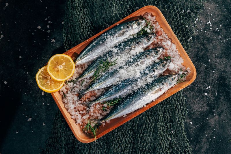 Salt Preservation Of Meat And Fish