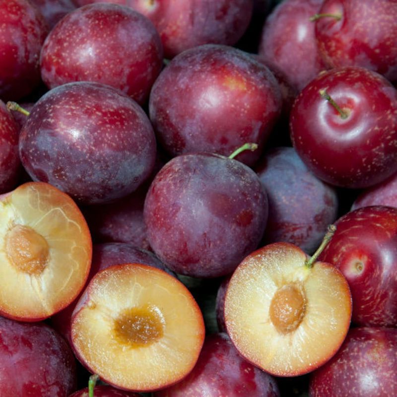 Juicy Pluerry