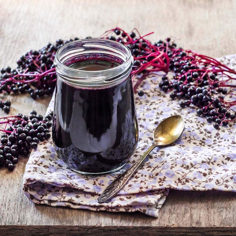 Elderberry Rob