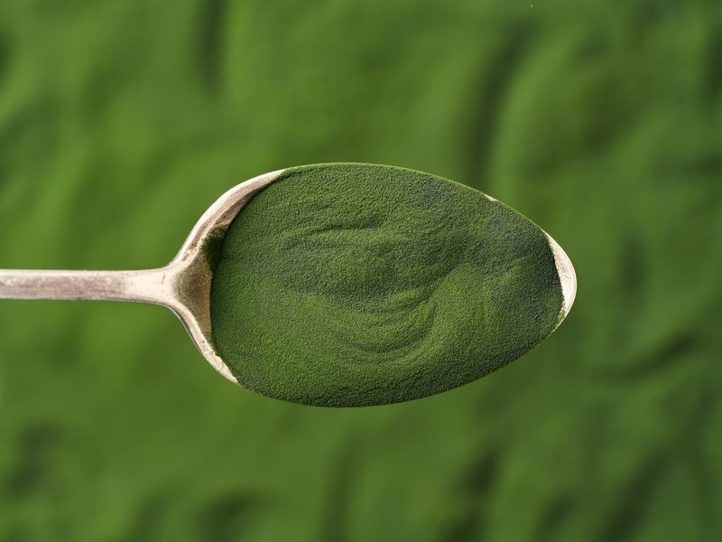 Microalgae Protein