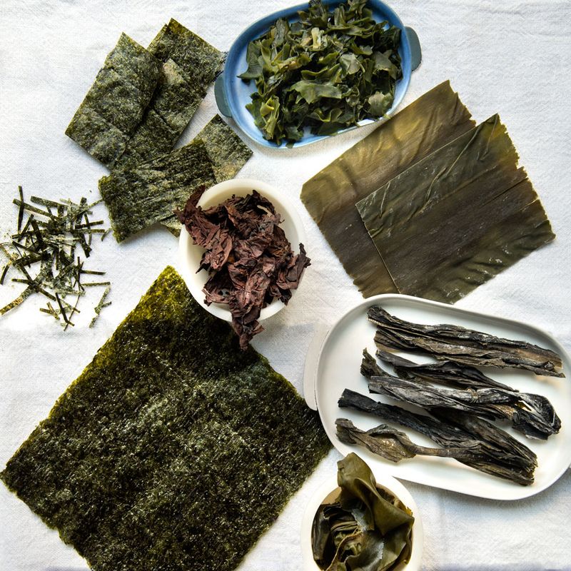 Seaweed Revolution