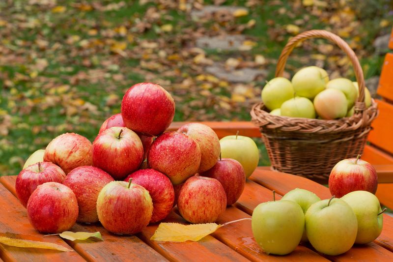 Apples