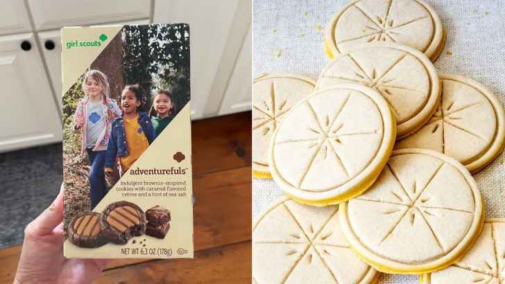 We Tasted Every Girl Scout Cookie — Ranked From Best To Worst