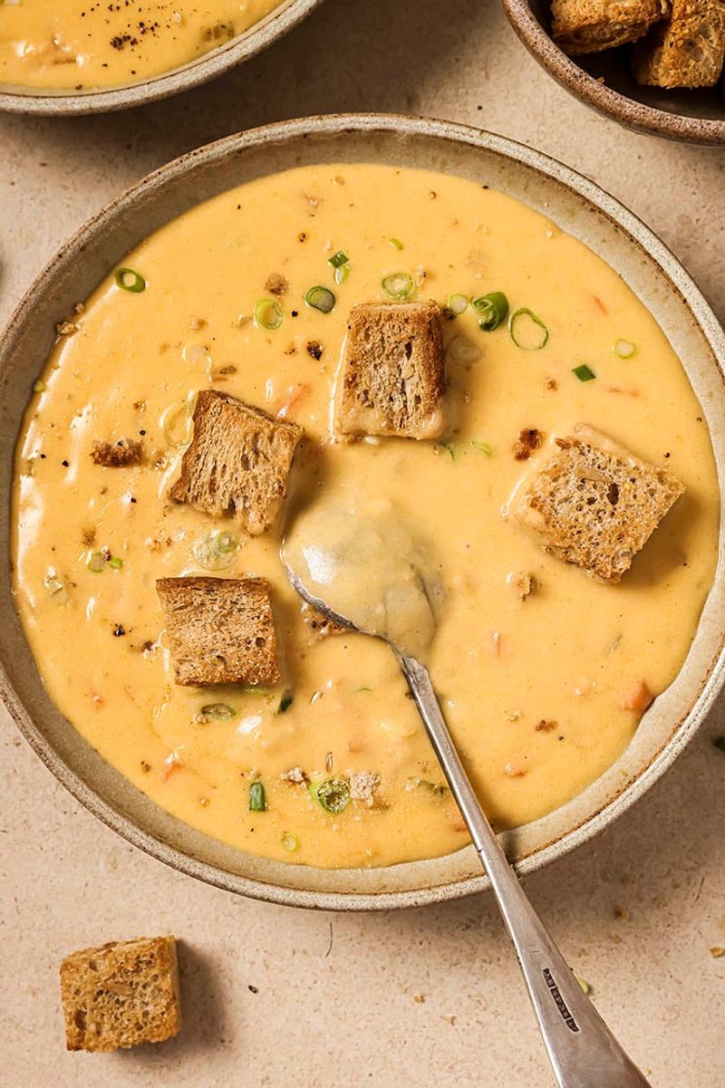 Wisconsin's Beer Cheese Soup Dipper