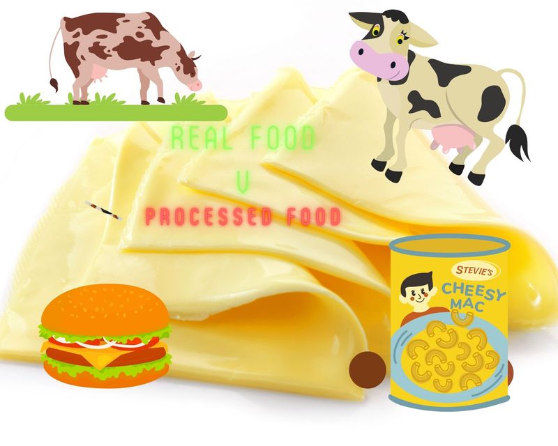 Processed Cheese Products