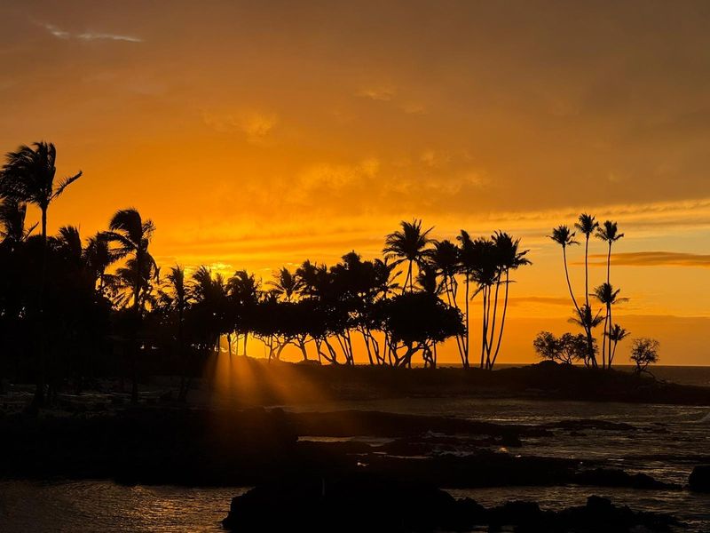Hawaii's Sunrise Pineapple Picking