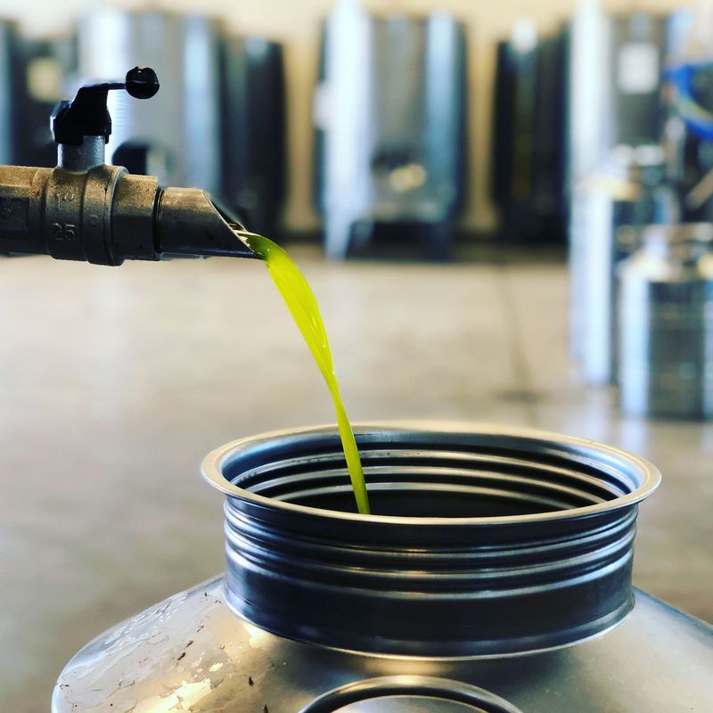 Freshly Pressed Olive Oil