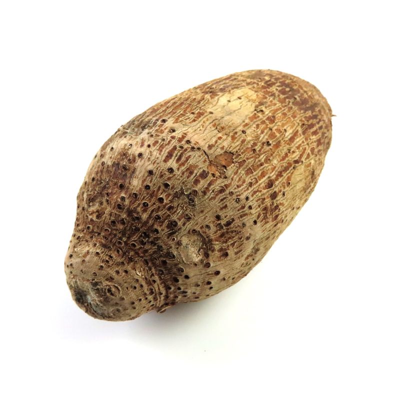 Taro Root: The Toxic Troublemaker