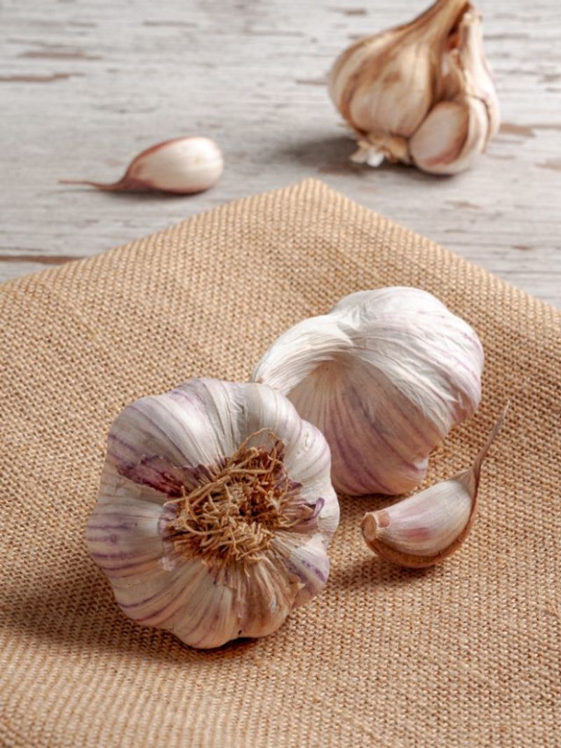 Garlic Activates Natural Protection