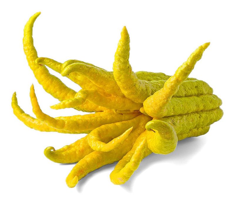 Buddha's Hand