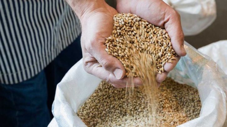 10 Carbs Diabetics Don’t Have To Fear — And 5 That Could Wreck Your Numbers