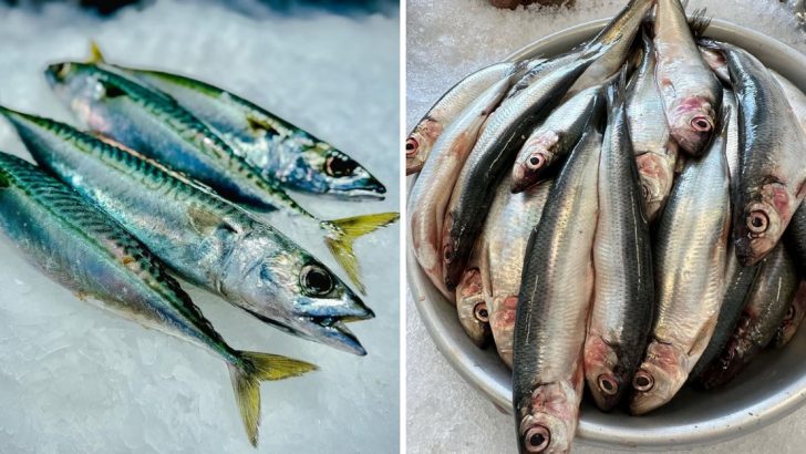 10 Cheap Fish Worth Buying And 8 You’ll Want To Skip At All Costs