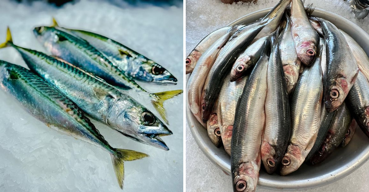 cheap fish